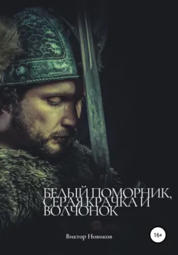 Северянин: Тень государева, аудиокнига Владимира Александровича Сединкина. ISDN70957963