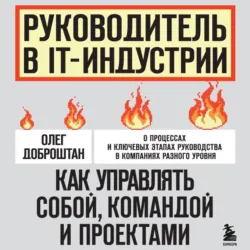 Руководитель в IT-индустрии. Как управлять собой, командой и проектами - Олег Доброштан
