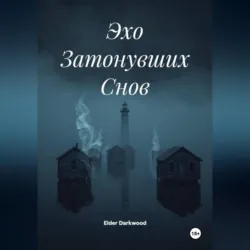 Черный Приют, аудиокнига Евгении Чапаевой. ISDN71037769