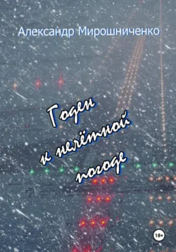 Годен к нелётной погоде, Александр Мирошниченко Годен к нелётной погоде, Александр Мирошниченко