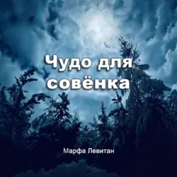 Чудо для совёнка - Марфа Левитан