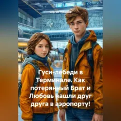 Нити судьбы. По ту сторону барьера, аудиокнига Эмили Ли. ISDN72111631