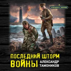 Последний шторм войны - Александр Тамоников