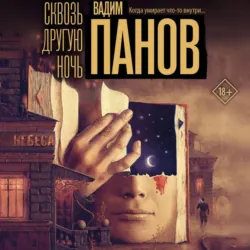 Сквозь другую ночь - Вадим Панов