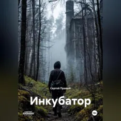 Инкубатор, Сергей Правый Инкубатор, Сергей Правый