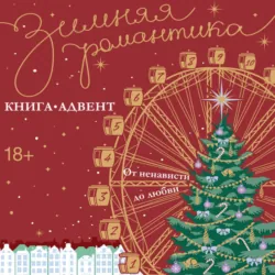 Зимняя романтика. Книга-адвент от ненависти до любви - Адриана Дари