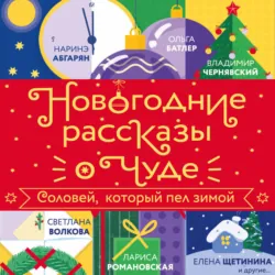Новогодние рассказы о чуде. Соловей, который пел зимой - Наринэ Абгарян