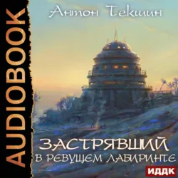Застрявший. Книга 4. Застрявший в Ревущем лабиринте - Антон Текшин