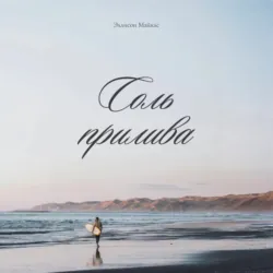 Соль прилива - Эллисон Майклс