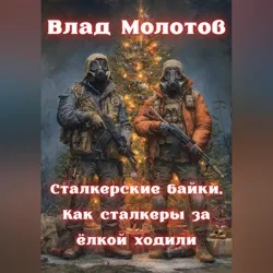 Сталкерские байки. Как сталкеры за ëлкой ходили - Влад Молотов