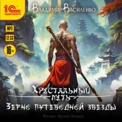 Зерно Путеводной Звезды - Владимир Василенко