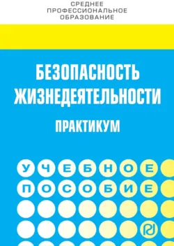 Безопасность жизнедеятельности. Практикум - Владимир Фирсов