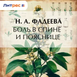 Боль в спине и пояснице - Н. Фадеева