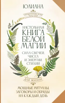 Магический ключ. Секретные заклинания, заговоры, ритуалы. Тайна жрицы, аудиокнига . ISDN71699122