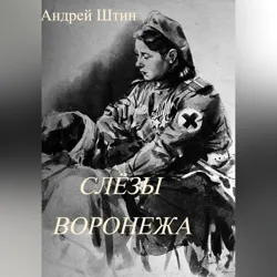 Слёзы Воронежа, Андрей Штин