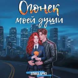 Огонек моей души - Элина Бриз