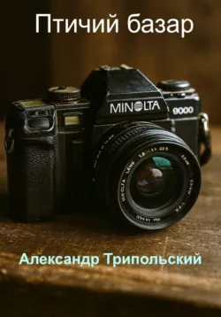 Птичий базар - Александр Трипольский