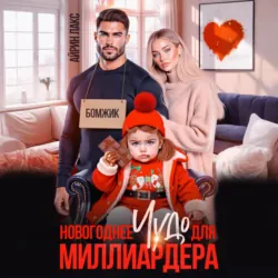 Новогоднее чудо для миллиардера - Айрин Лакс