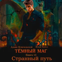 Тёмный маг. Книга 13. Странный путь - Илья Ангел