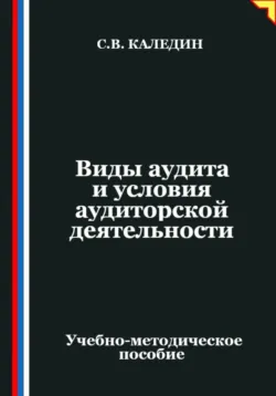 Виды аудита и условия аудиторской деятельности - Сергей Каледин