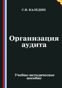 Организация аудита - Сергей Каледин