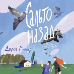 Сальто назад - Дарси Миллер