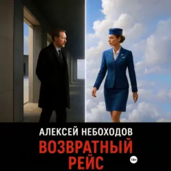 Возвратный рейс - Алексей Небоходов