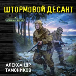 Штормовой десант - Александр Тамоников