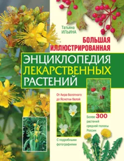 Аптечный огород. Справочник по сбору, хранению и применению целебных растений, аудиокнига . ISDN73507638