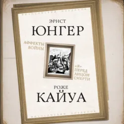 Аффекты войны. «Я» перед лицом смерти - Эрнст Юнгер