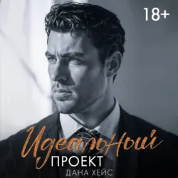 Идеальный проект - Дана Хейс