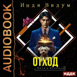 Петя и Валерон. Книга 4. Отход - Инди Видум