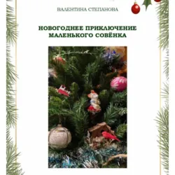 Новогоднее приключение маленького совёнка - Валентина Степанова