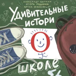 Удивительные истории о школе - Александр Цыпкин