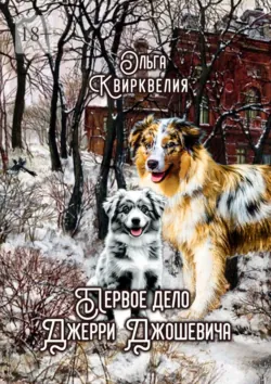 Первое дело Джерри Джошевича - Ольга Квирквелия