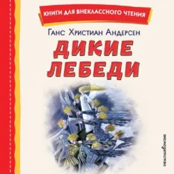 Дикие лебеди. Сборник - Ганс Христиан Андерсен