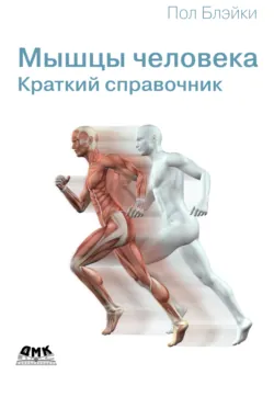 Мышцы человека. Краткий справочник - Пол Блэйки