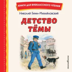 Детство Тёмы - Николай Гарин-Михайловский