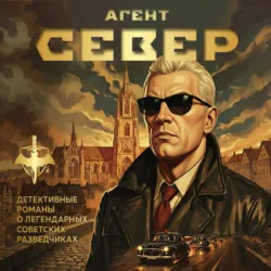 Агент Север - Сергей Журавлев