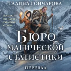 Бюро магической статистики. Перевал - Галина Гончарова