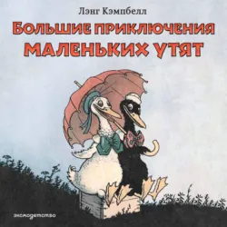 Большие приключения маленьких утят - Лэнсинг (Лэнг) Кэмпбелл