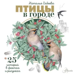 Птицы в городе. 25 историй в фактах - Наталья Габеева