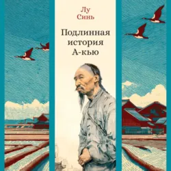 Подлинная история А-кью - Лу Синь