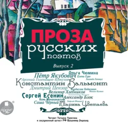 Проза русских поэтов. Выпуск 2 - Коллектив авторов
