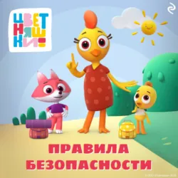 Цветняшки. Правила безопасности - Елена Янушко