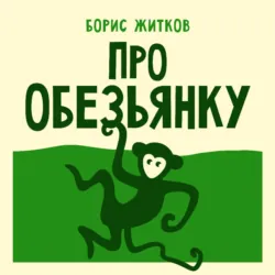 Про обезьянку - Борис Житков