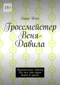 Гроссмейстер Веня-Давила. Поучительные повести для тех, кто ищет богинь в лужах - Саша Игин