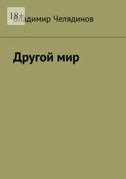 Другой мир - Владимир Челядинов
