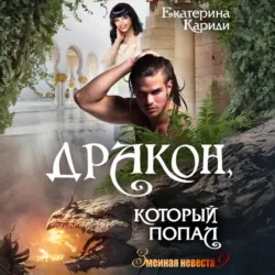 Дракон, который попал - Екатерина Кариди