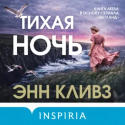 Тихая ночь - Энн Кливз